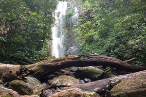 UnExplored Waterfalls to visit in Karnataka