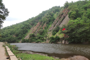 Hill Forest near Dharoi Dam