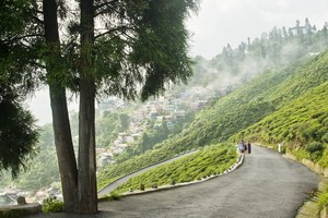 Kurseong near Darjeeling Himalayan Railway