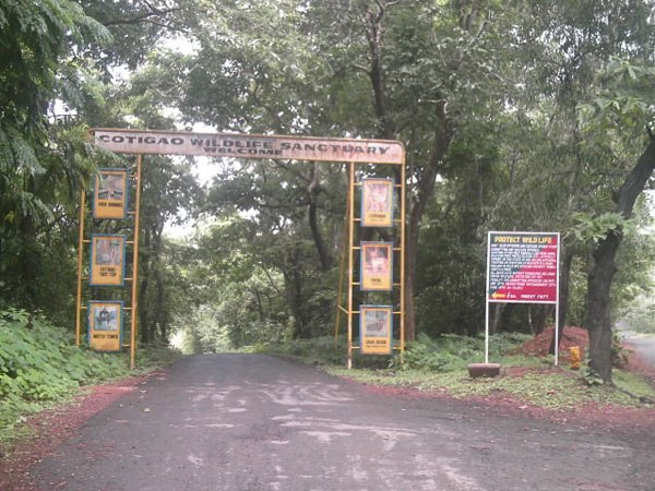 Dandeli Wildlife Sanctuary, Uttara Kannada | When to Visit, Images &  Videos, Guide